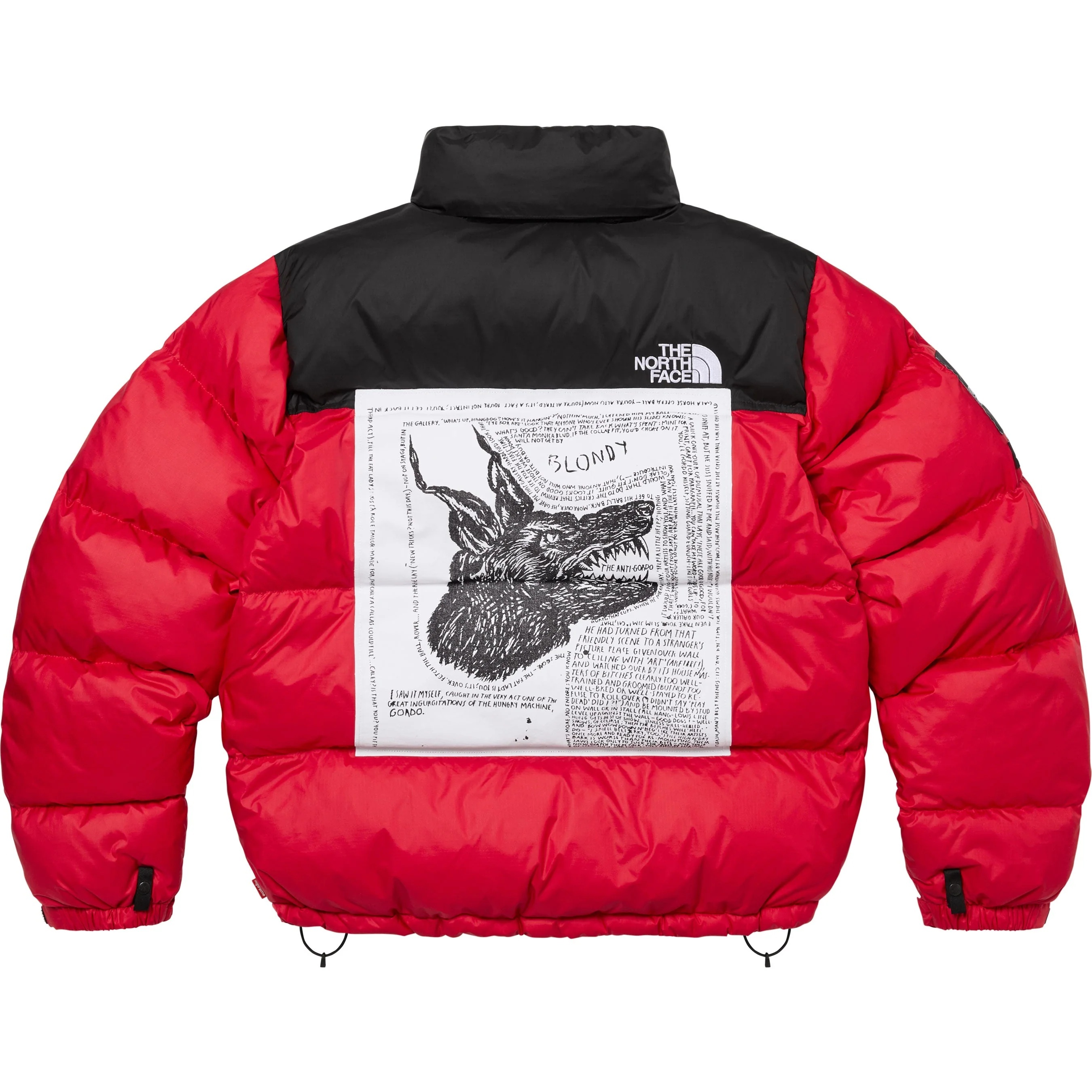 Supreme®/The North Face® Nuptse Jacket view 5